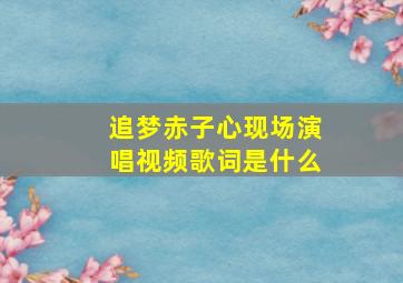 追梦赤子心现场演唱视频歌词是什么