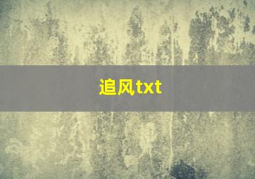 追风txt