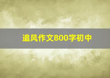 追风作文800字初中