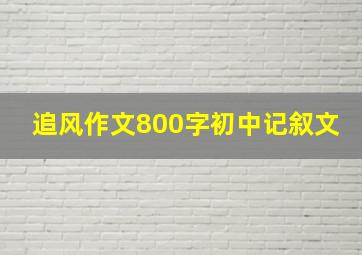 追风作文800字初中记叙文