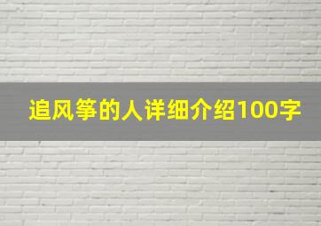 追风筝的人详细介绍100字