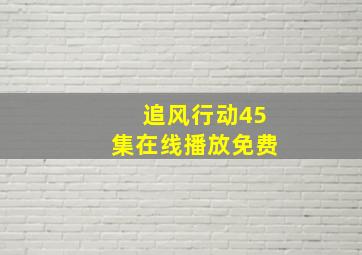 追风行动45集在线播放免费