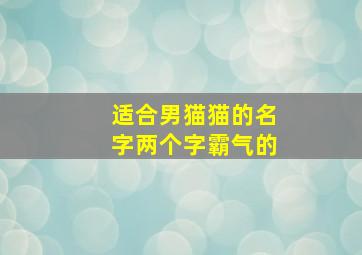 适合男猫猫的名字两个字霸气的