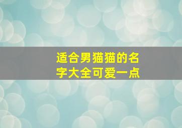 适合男猫猫的名字大全可爱一点