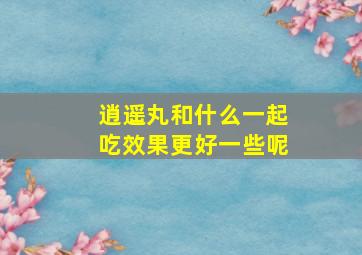 逍遥丸和什么一起吃效果更好一些呢