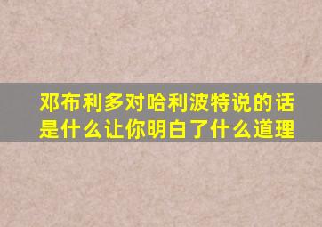 邓布利多对哈利波特说的话是什么让你明白了什么道理