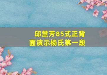 邱慧芳85式正背面演示杨氏第一段