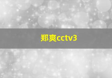 郑爽cctv3