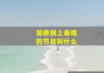 郭德纲上春晚的节目叫什么