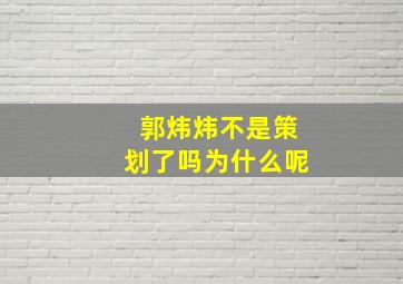 郭炜炜不是策划了吗为什么呢