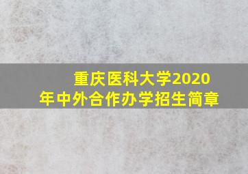 重庆医科大学2020年中外合作办学招生简章