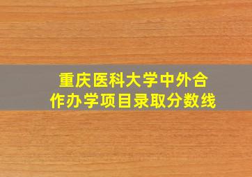 重庆医科大学中外合作办学项目录取分数线