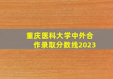 重庆医科大学中外合作录取分数线2023