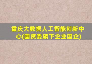 重庆大数据人工智能创新中心(国资委旗下企业国企)