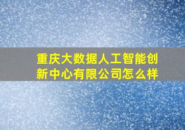 重庆大数据人工智能创新中心有限公司怎么样