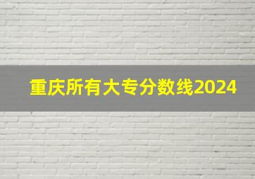 重庆所有大专分数线2024