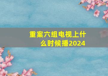 重案六组电视上什么时候播2024