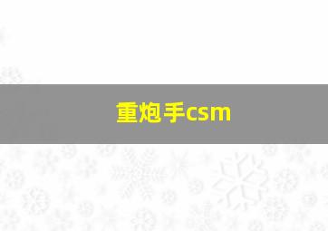 重炮手csm