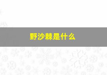 野沙棘是什么