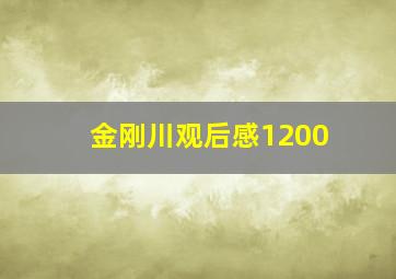 金刚川观后感1200