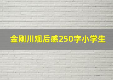 金刚川观后感250字小学生