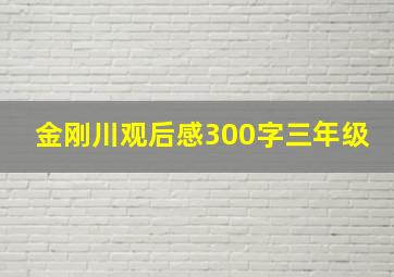 金刚川观后感300字三年级