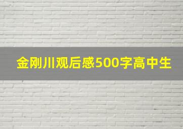 金刚川观后感500字高中生