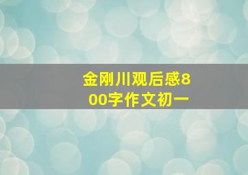 金刚川观后感800字作文初一