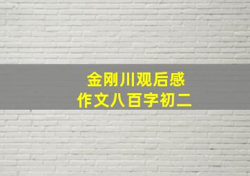 金刚川观后感作文八百字初二