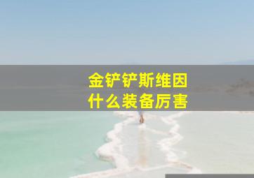 金铲铲斯维因什么装备厉害