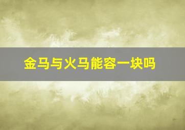 金马与火马能容一块吗