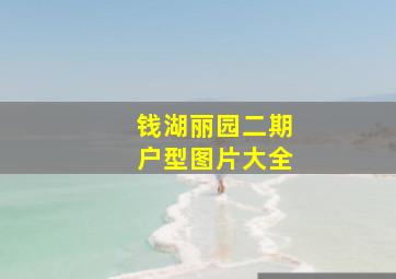 钱湖丽园二期户型图片大全