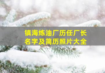 镇海炼油厂历任厂长名字及简历照片大全