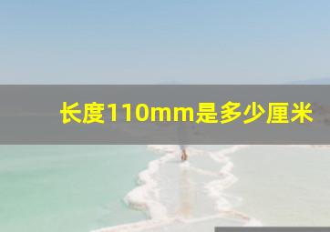 长度110mm是多少厘米