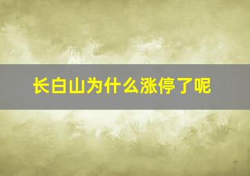 长白山为什么涨停了呢