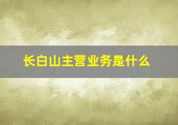 长白山主营业务是什么