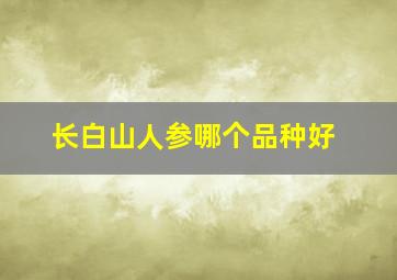 长白山人参哪个品种好