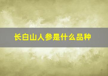 长白山人参是什么品种