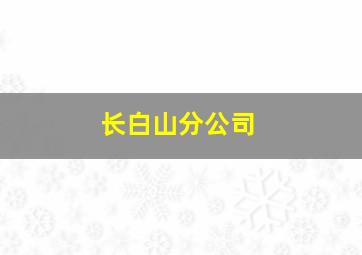 长白山分公司