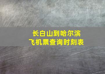 长白山到哈尔滨飞机票查询时刻表