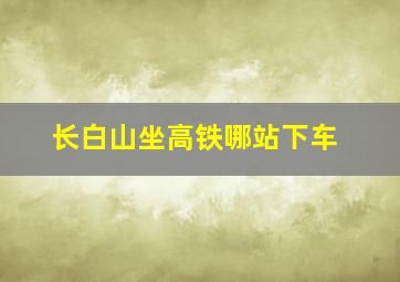 长白山坐高铁哪站下车