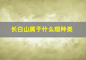 长白山属于什么烟种类