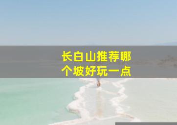 长白山推荐哪个坡好玩一点