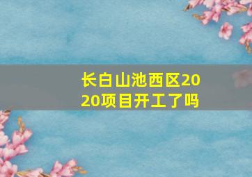 长白山池西区2020项目开工了吗