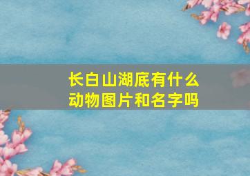 长白山湖底有什么动物图片和名字吗