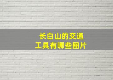 长白山的交通工具有哪些图片