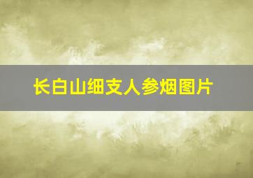 长白山细支人参烟图片