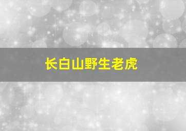 长白山野生老虎