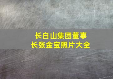 长白山集团董事长张金宝照片大全