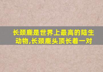 长颈鹿是世界上最高的陆生动物,长颈鹿头顶长着一对